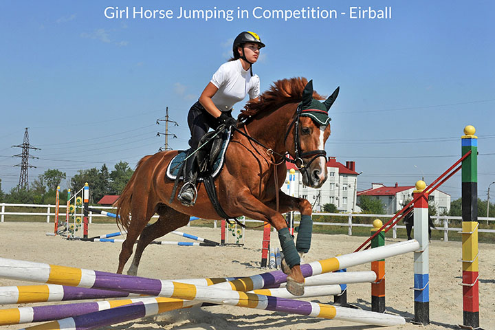 Horse Jumping Girl Jockey