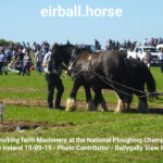 Ploughing Championships