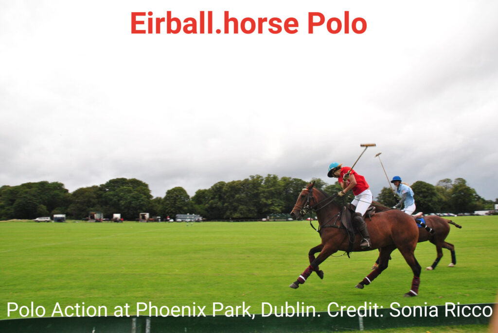 Polo Phoenix Park